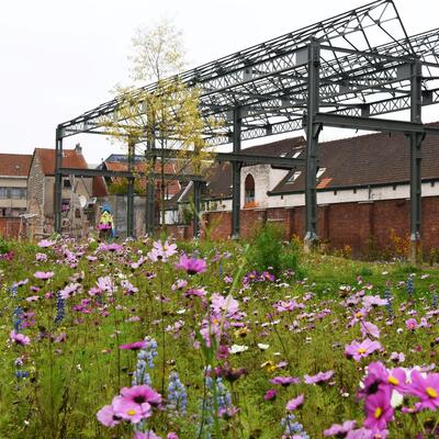 Van Crombruggepark - erfgoedsprokkel