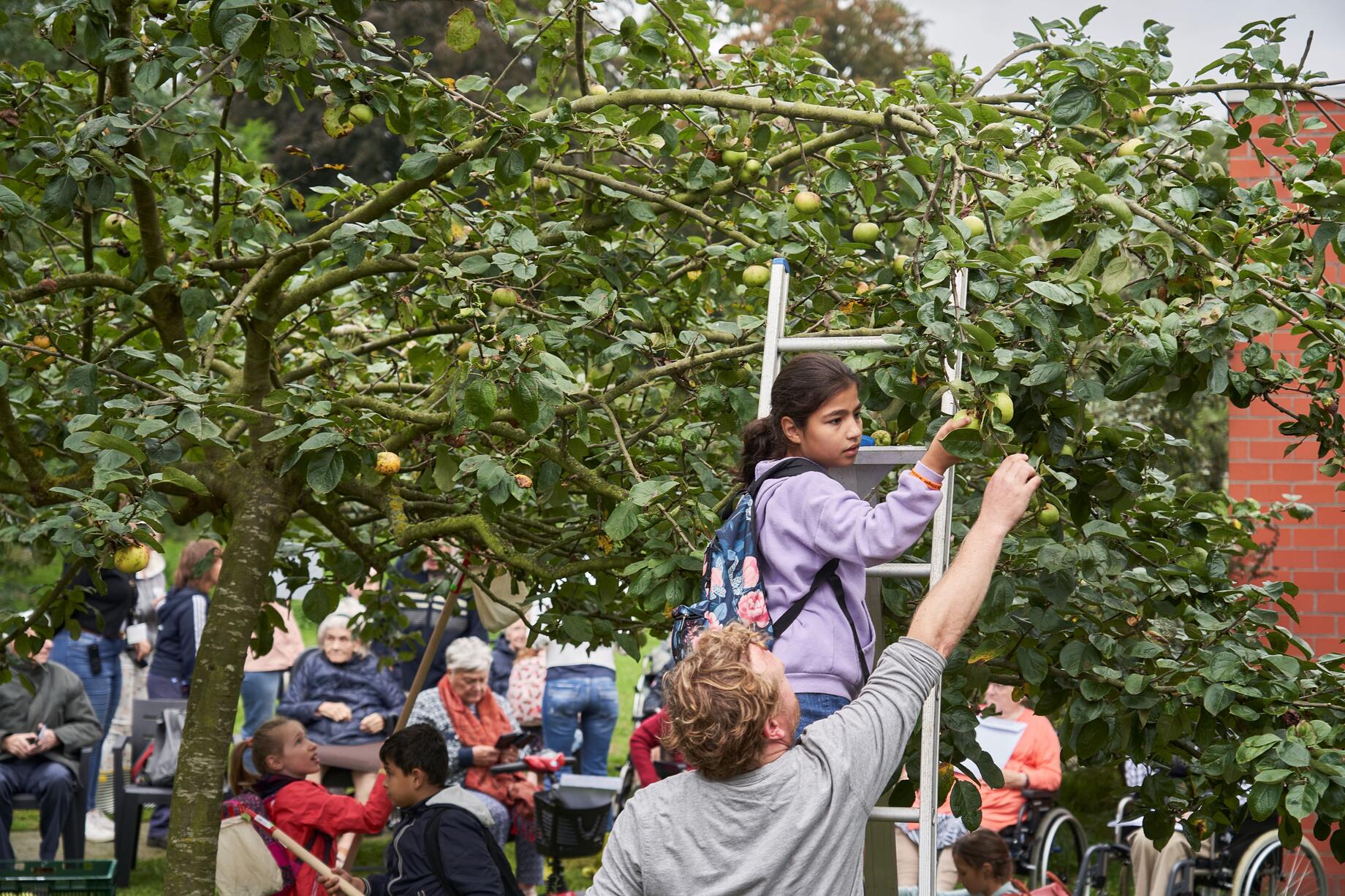 Appelpluk Heiveld