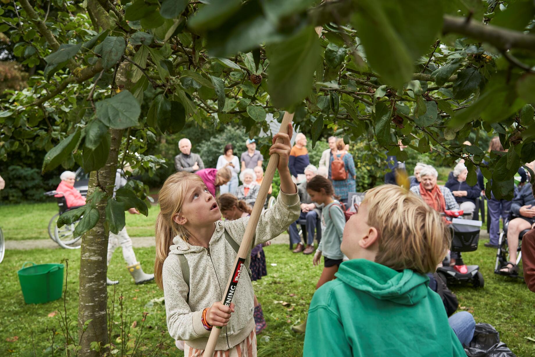 Appelpluk Heiveld