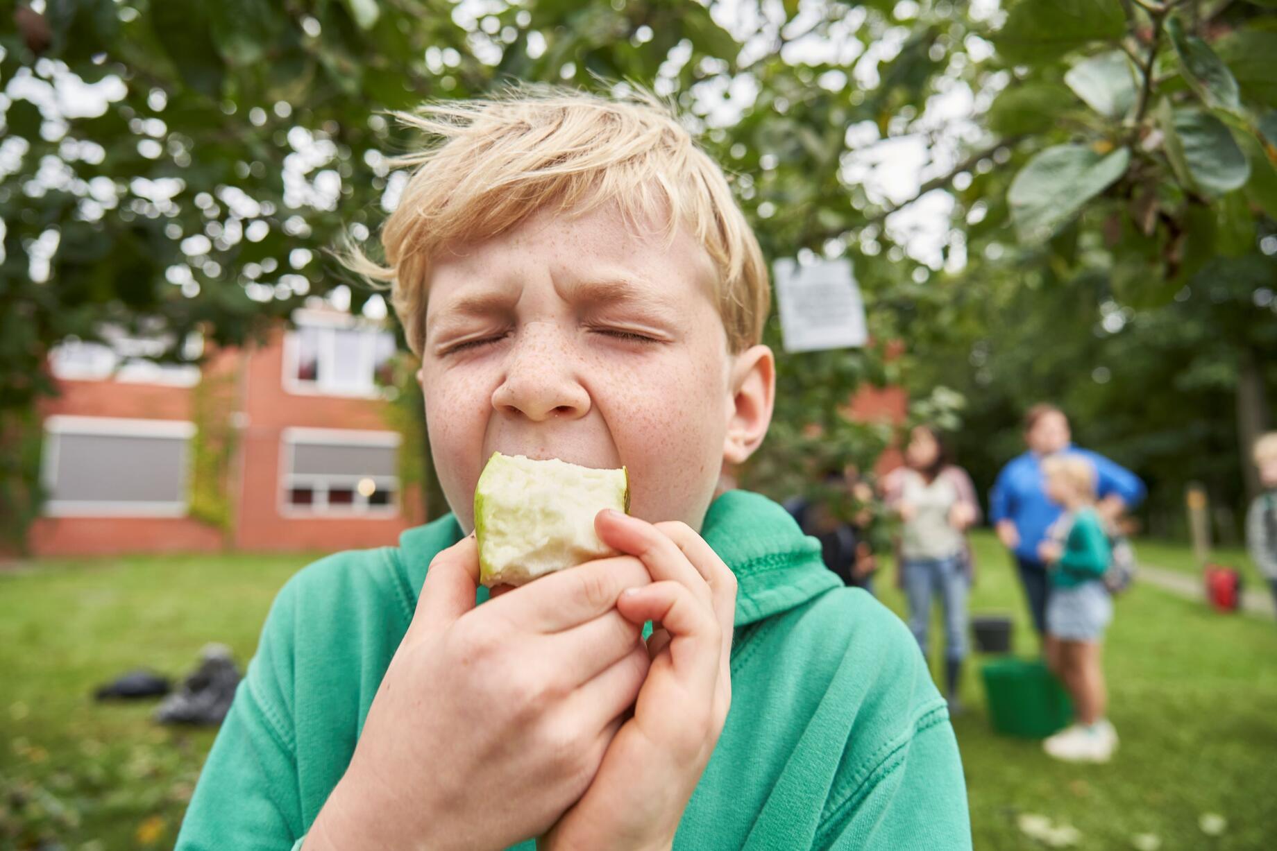 Appelpluk Heiveld