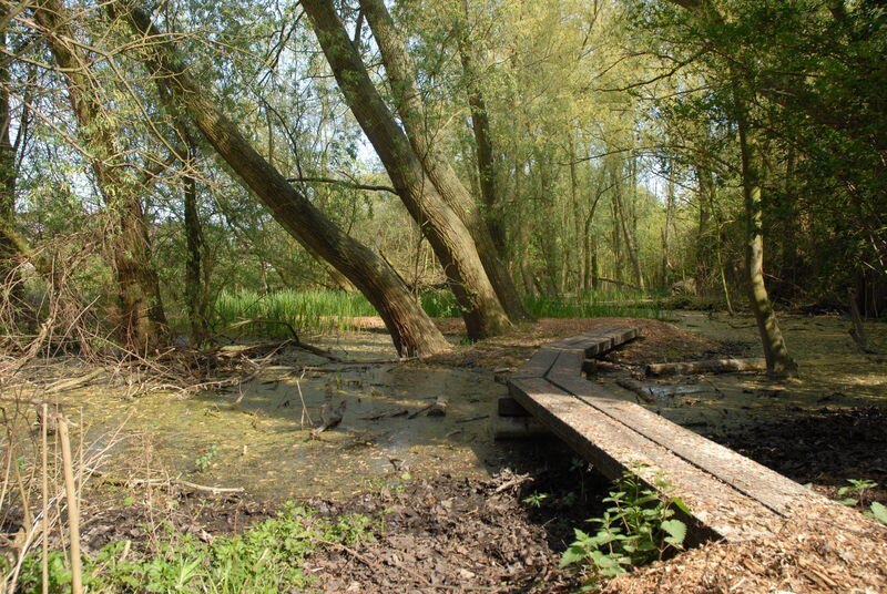 De uitbreiding van het Bloemekenspark krijgt nu definitief een groene bestemming