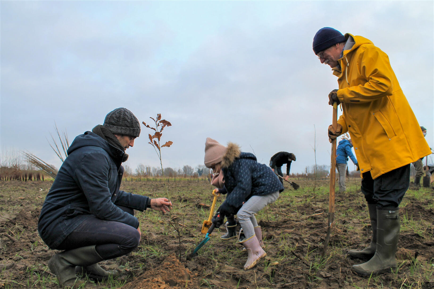 Plantactie ViBO Maarten Boes