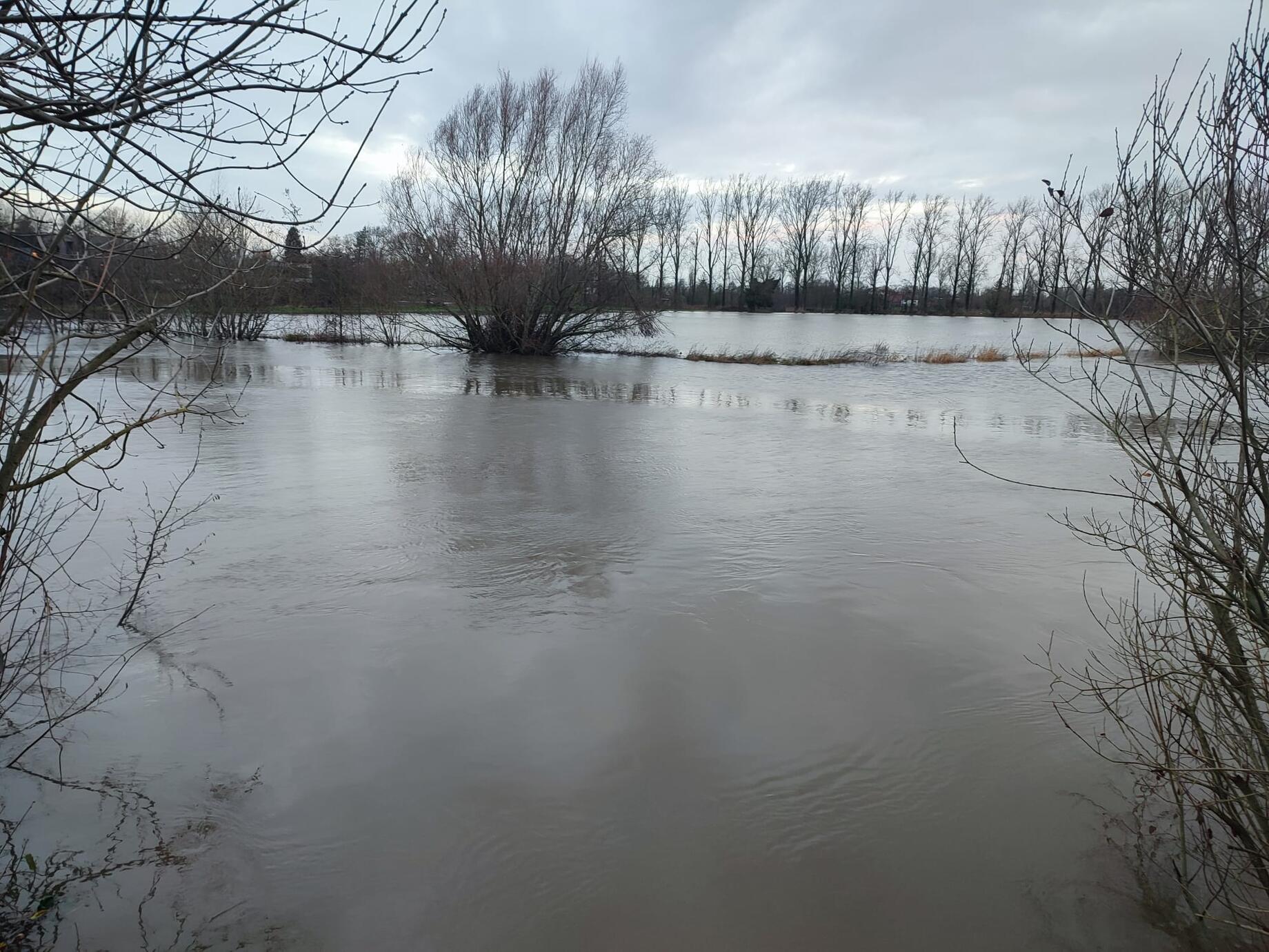 Hoge waterstand Leie