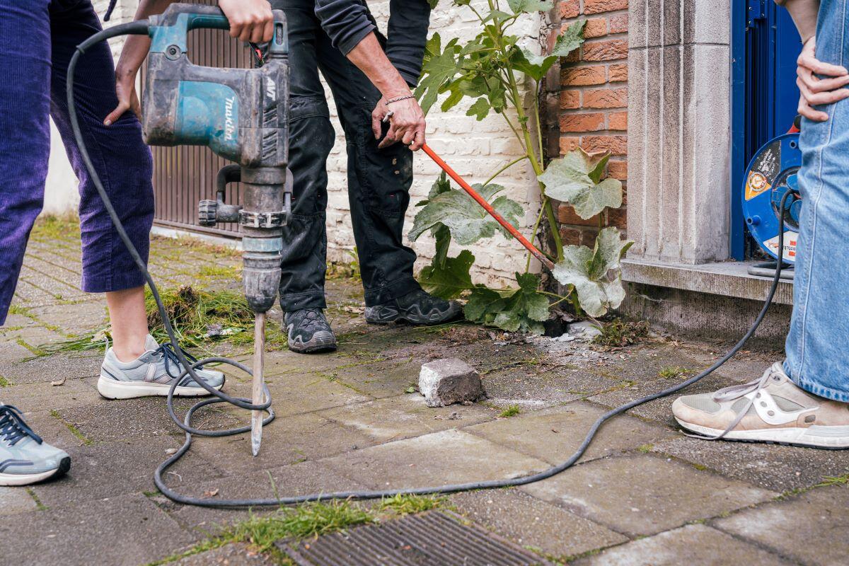 Aanleggen van geveltuinen met Planten met buren