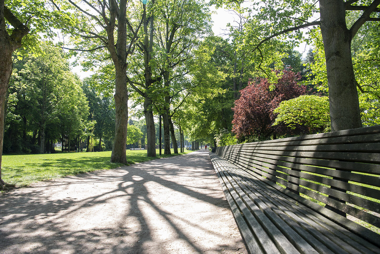 Zuidpark