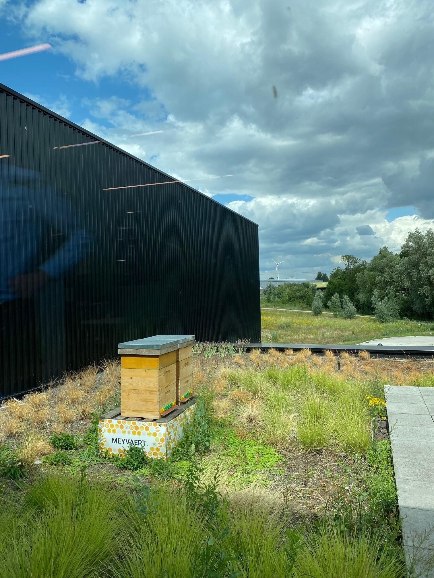 Meyvaert produceert vitrinekasten voor de grootste musea ter wereld