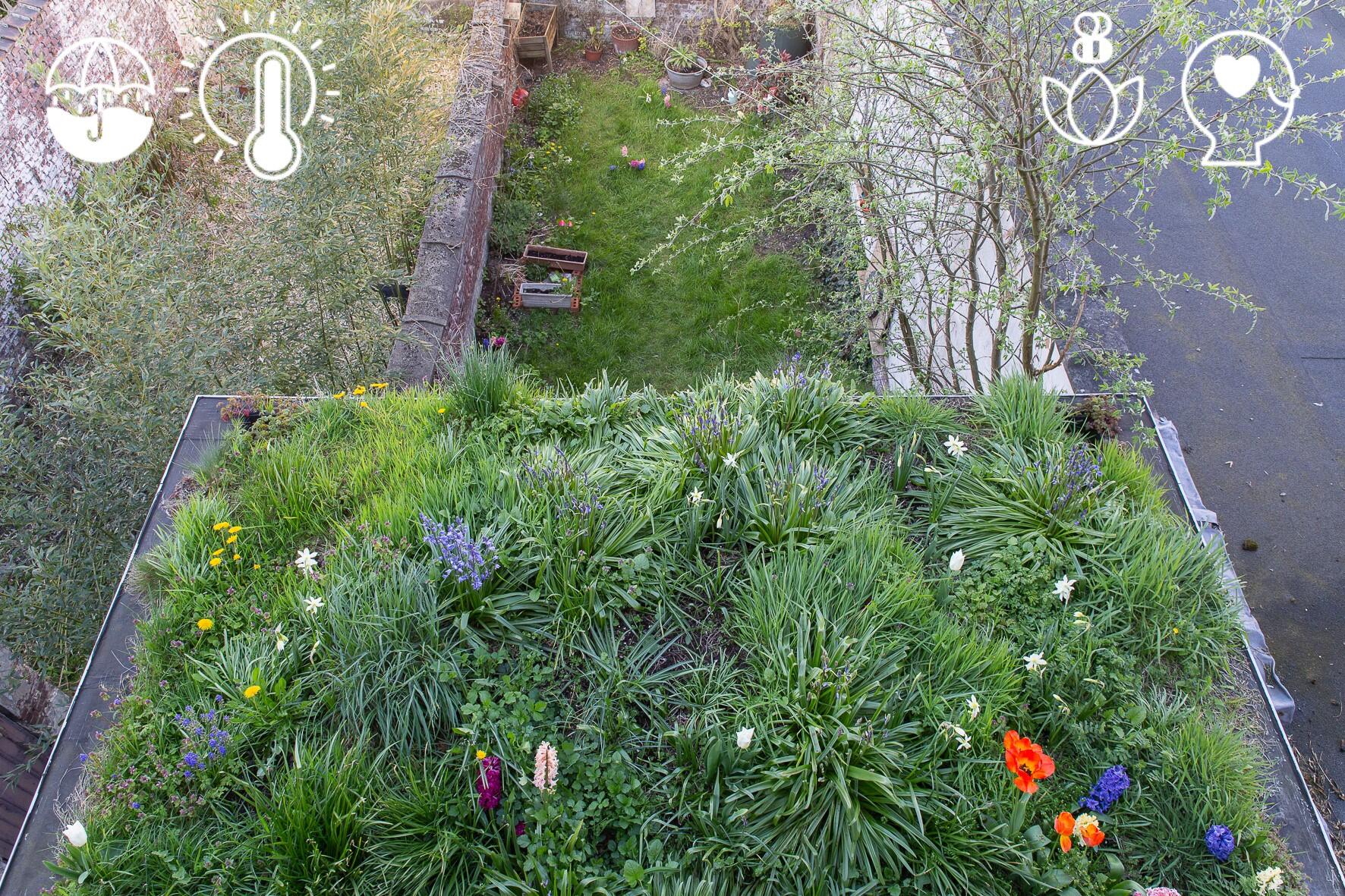 Hou het koeler met groendak en onthardde tuin 