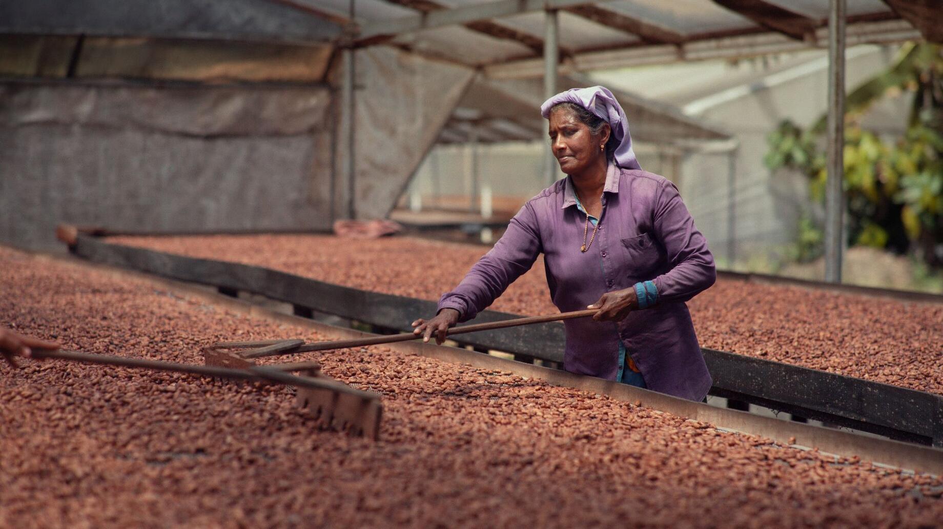 Ellen produceert haar chocolade in haar eigen bedrijf in India