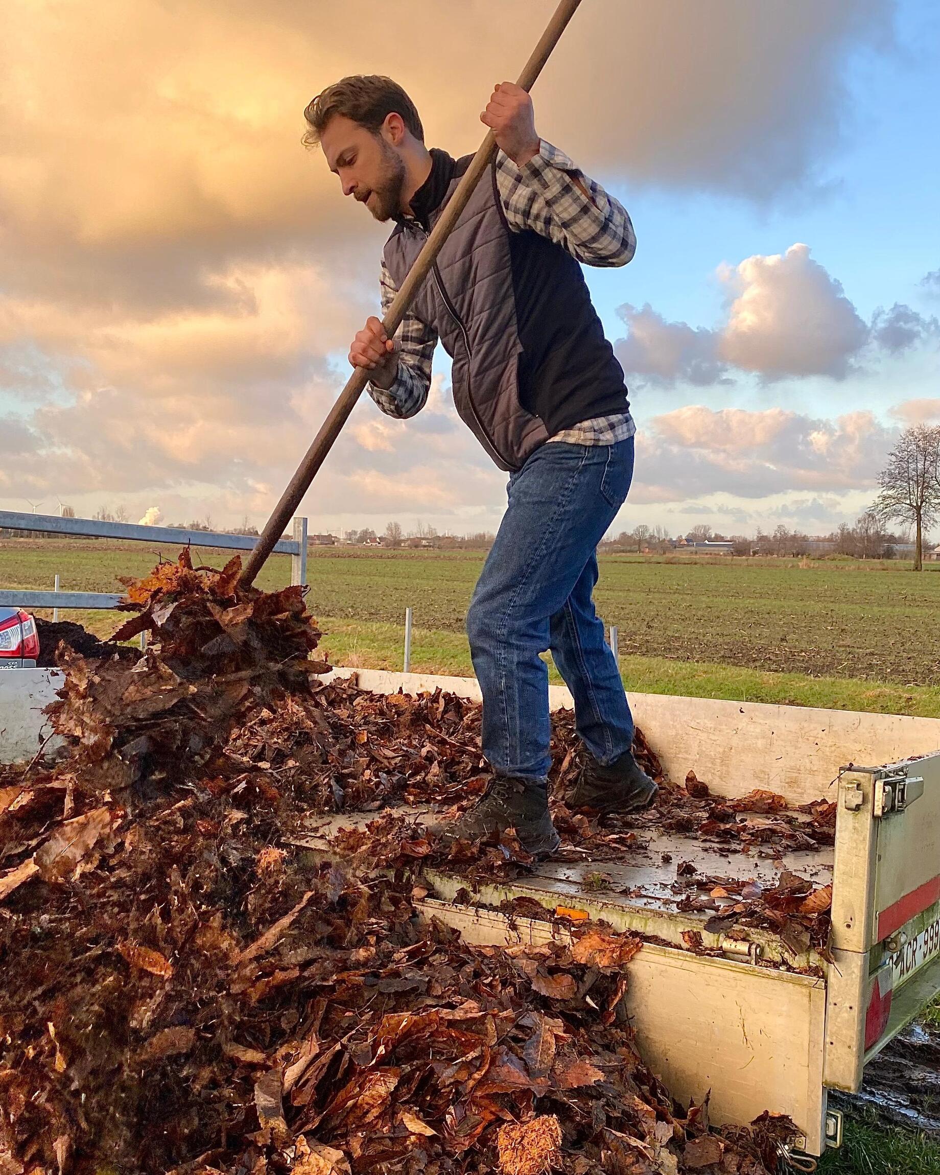 Man harkt bladeren van aanhangwagen als compost