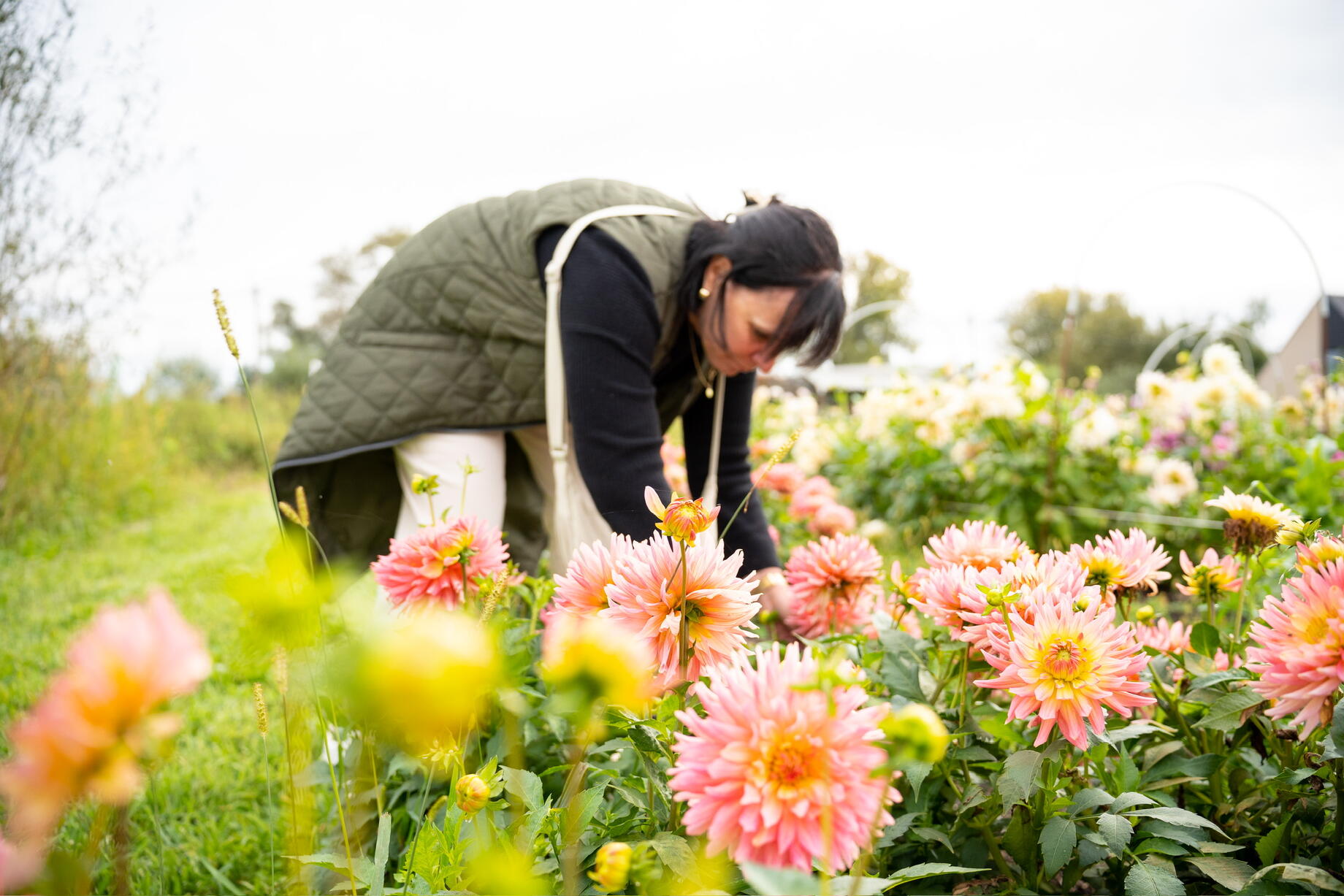 Vrouw plukt bloemen in tuin