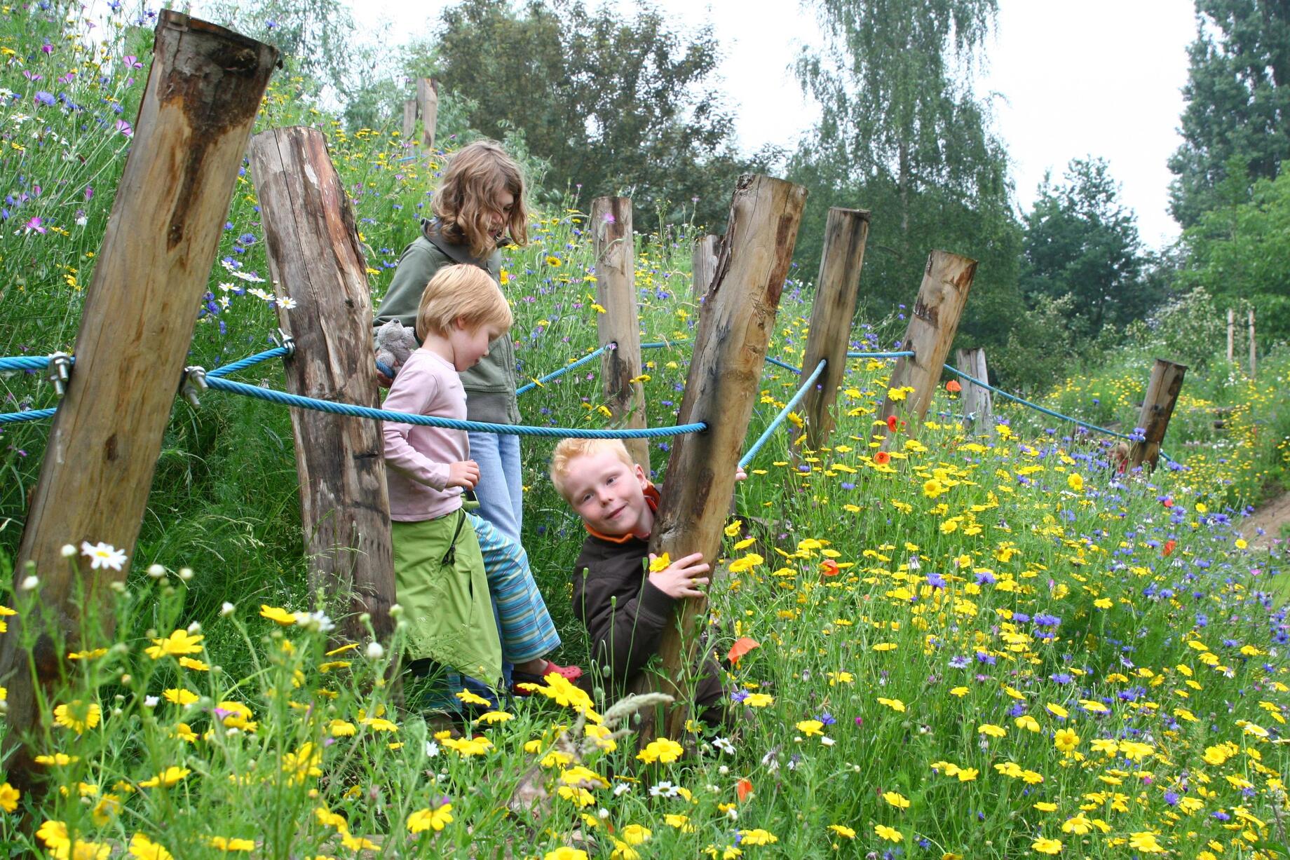 spelende kinderen tussen de bloemen